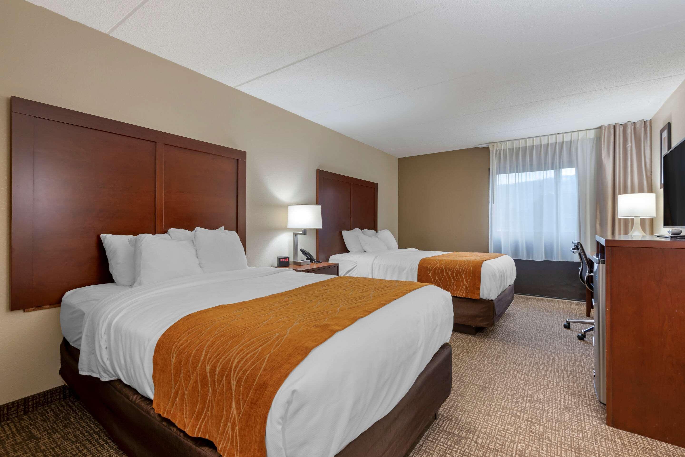 Comfort Inn Binghamton I-81 Exterior photo