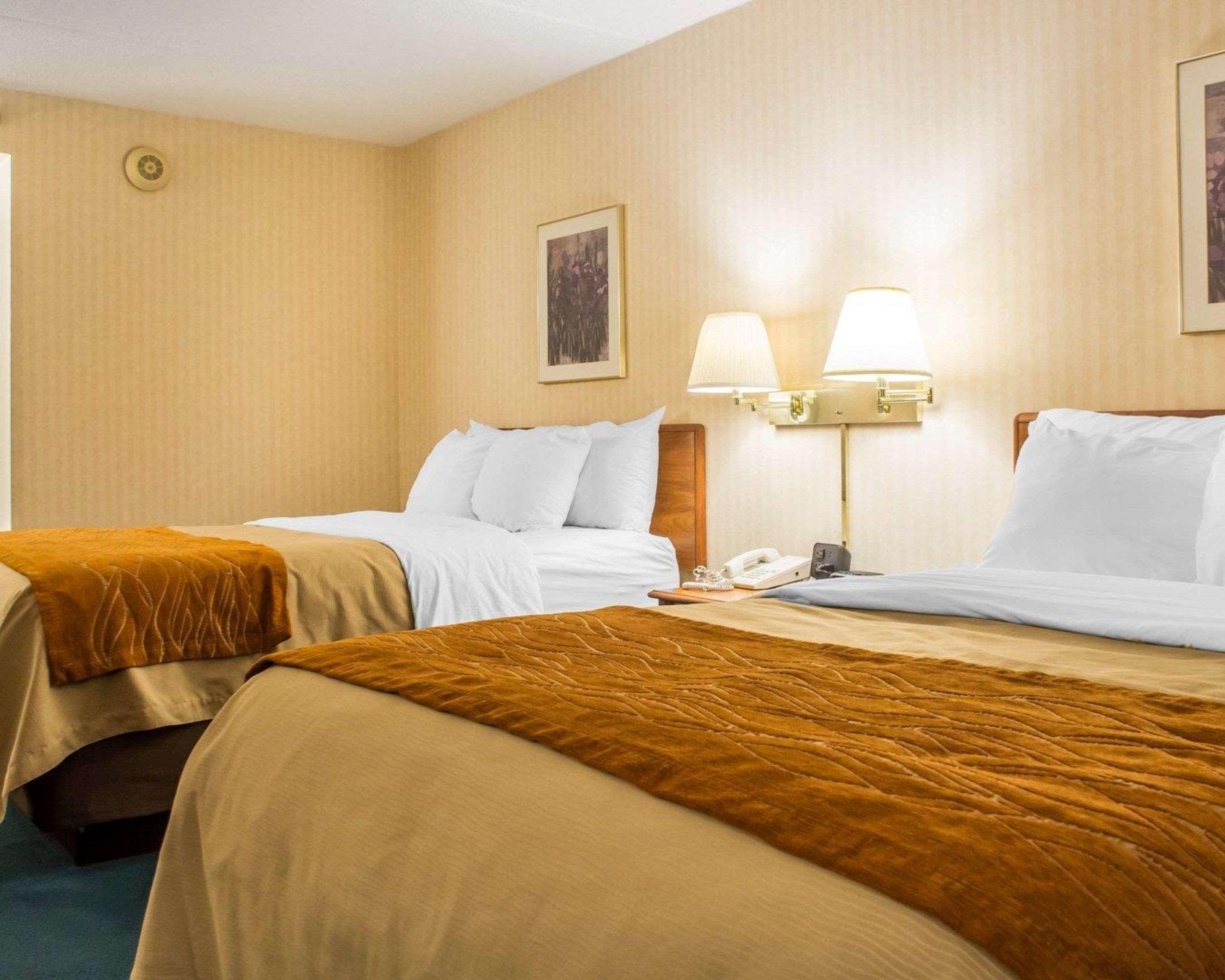 Comfort Inn Binghamton I-81 Exterior photo